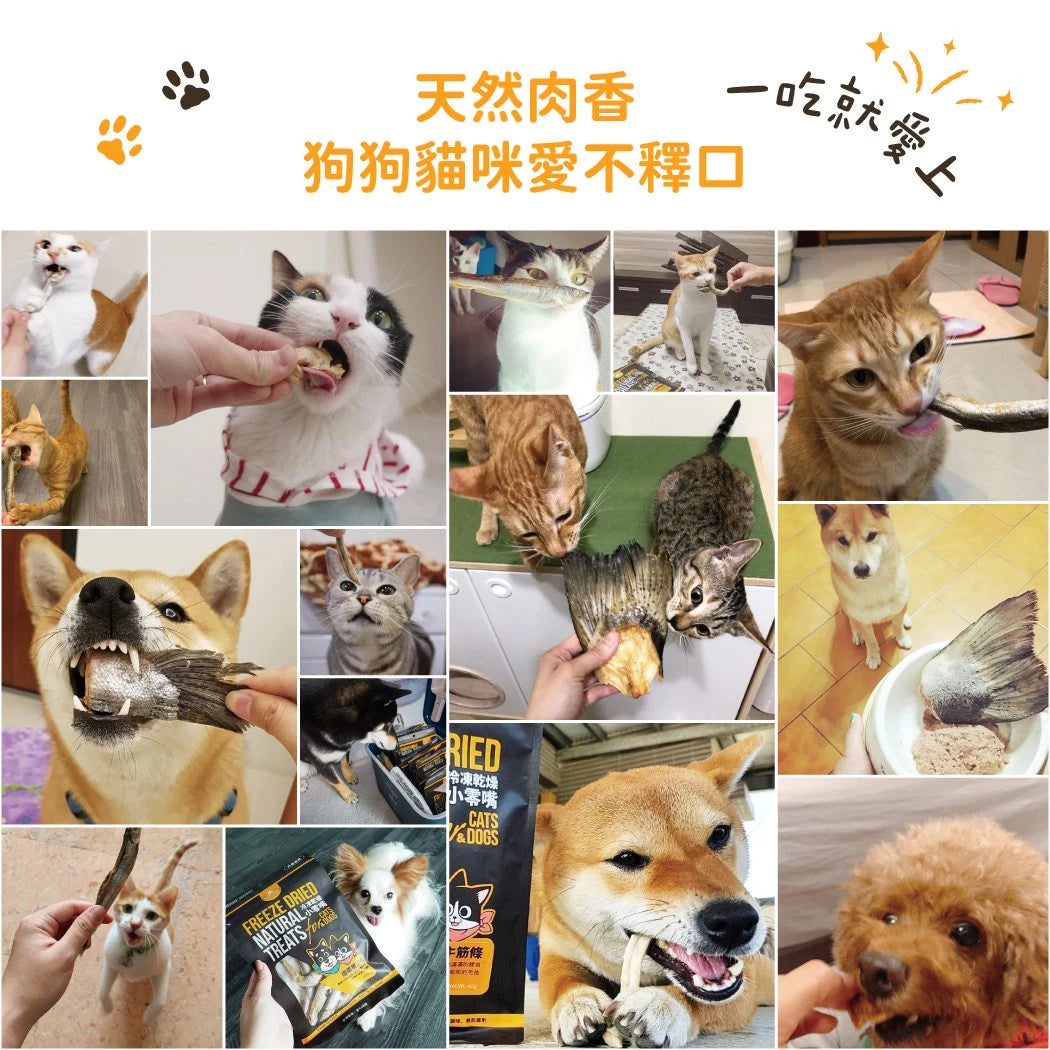 DogCatStar 汪喵星球 冷凍乾燥原肉小零嘴