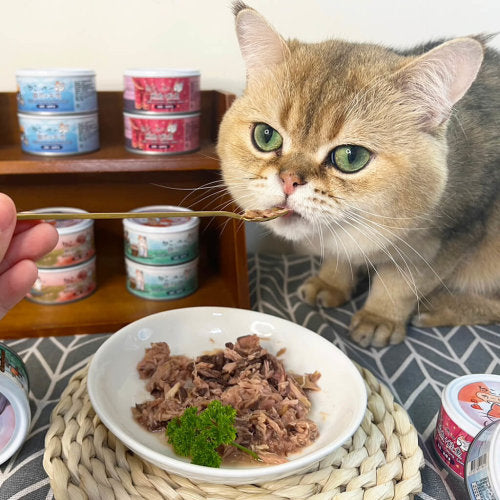 ねこ 吶一口 鮮肉貓罐 無穀鮮肉貓罐 貓咪食品 貓罐頭 70g