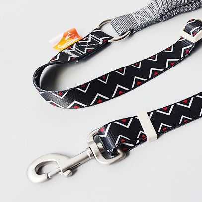 Felizpaws 狗狗彈性伸縮印花牽繩 紅黑 / 藍綠