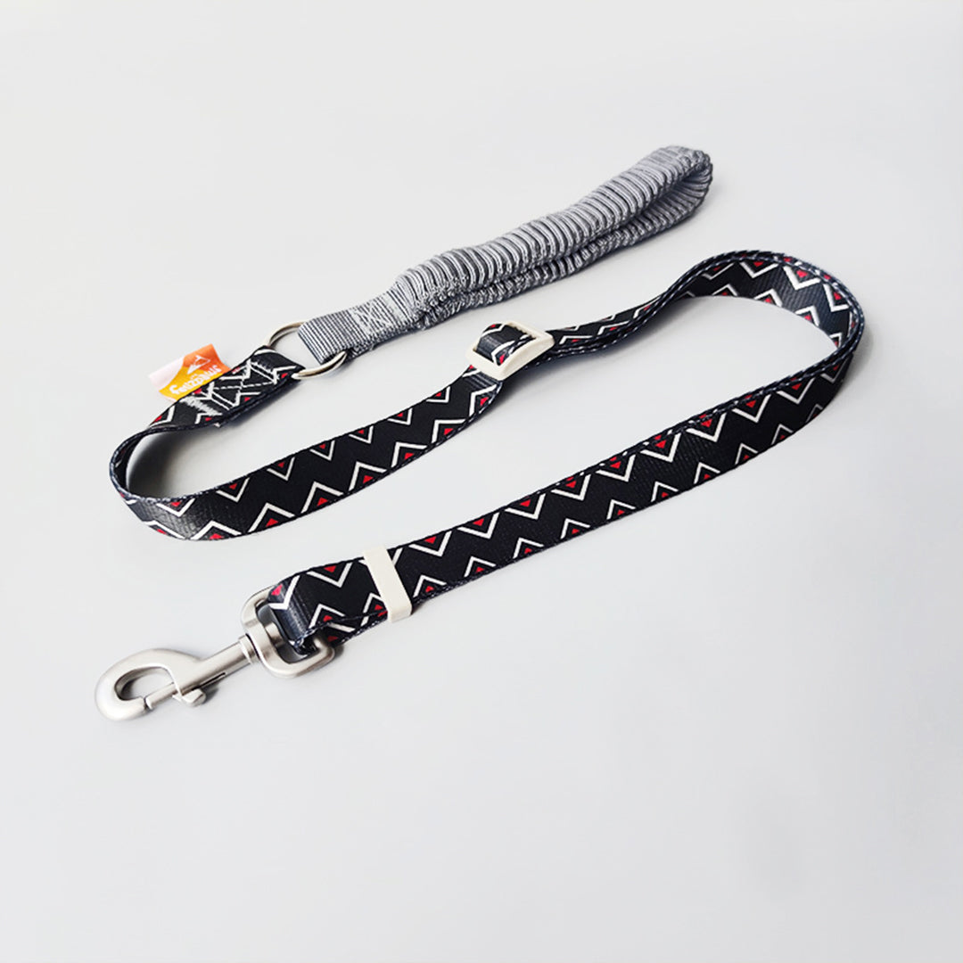 Felizpaws 狗狗彈性伸縮印花牽繩 紅黑 / 藍綠