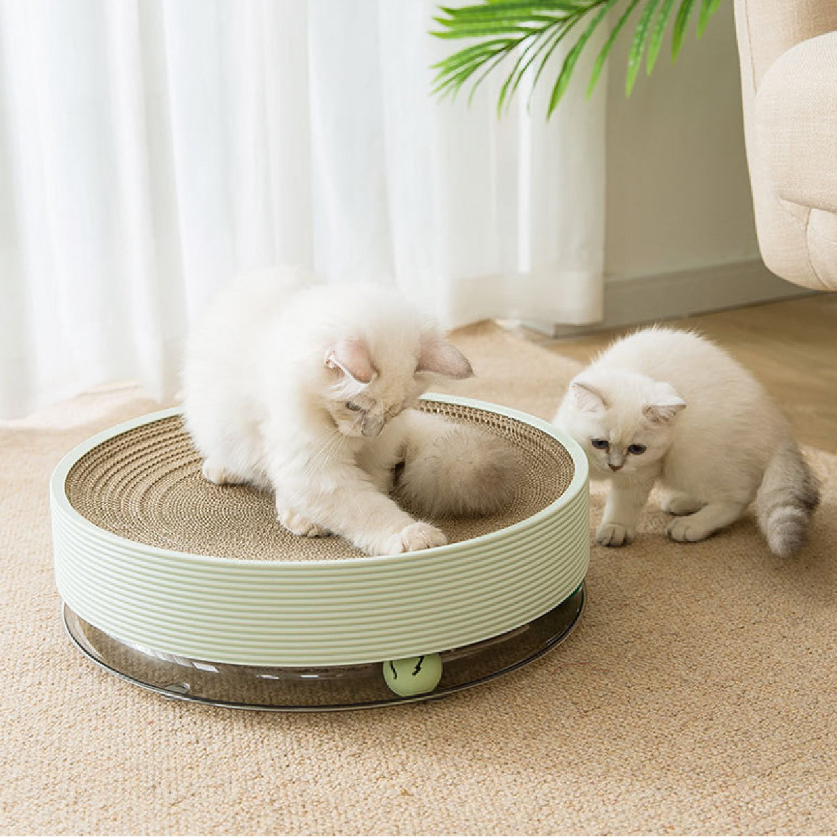 SOFT ZOO 三合一千層貓抓板 附贈貓草