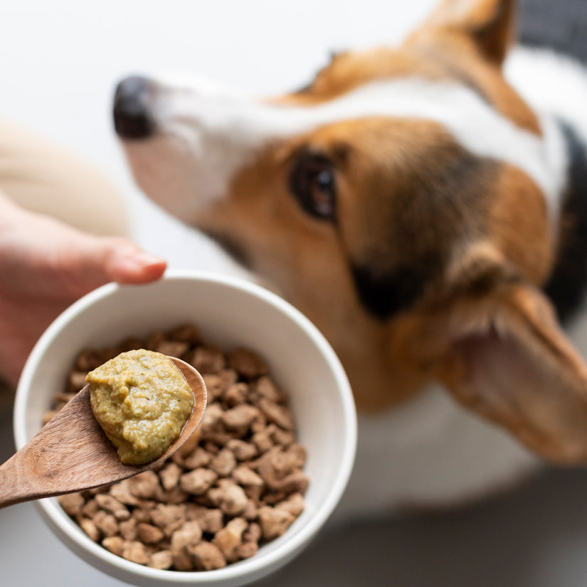 DoggyWillie小犬威利 預拌粉鮮食餐 PLUS+營養添加系列 30g