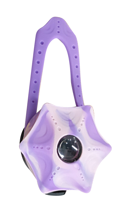 LaRoo萊諾 極光吊墜 寵物發光項圈配件 LED發光 USB充電 寵物夜晚發光