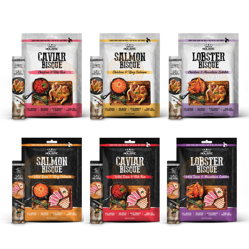 Absolute Holistic超越巔峰 肉泥 寵物零食 12g x 5包