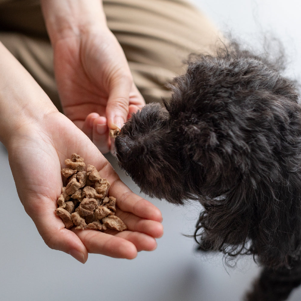 DoggyWillie小犬威利 COOK 純粹煮食系列 凍乾點心餐 15g