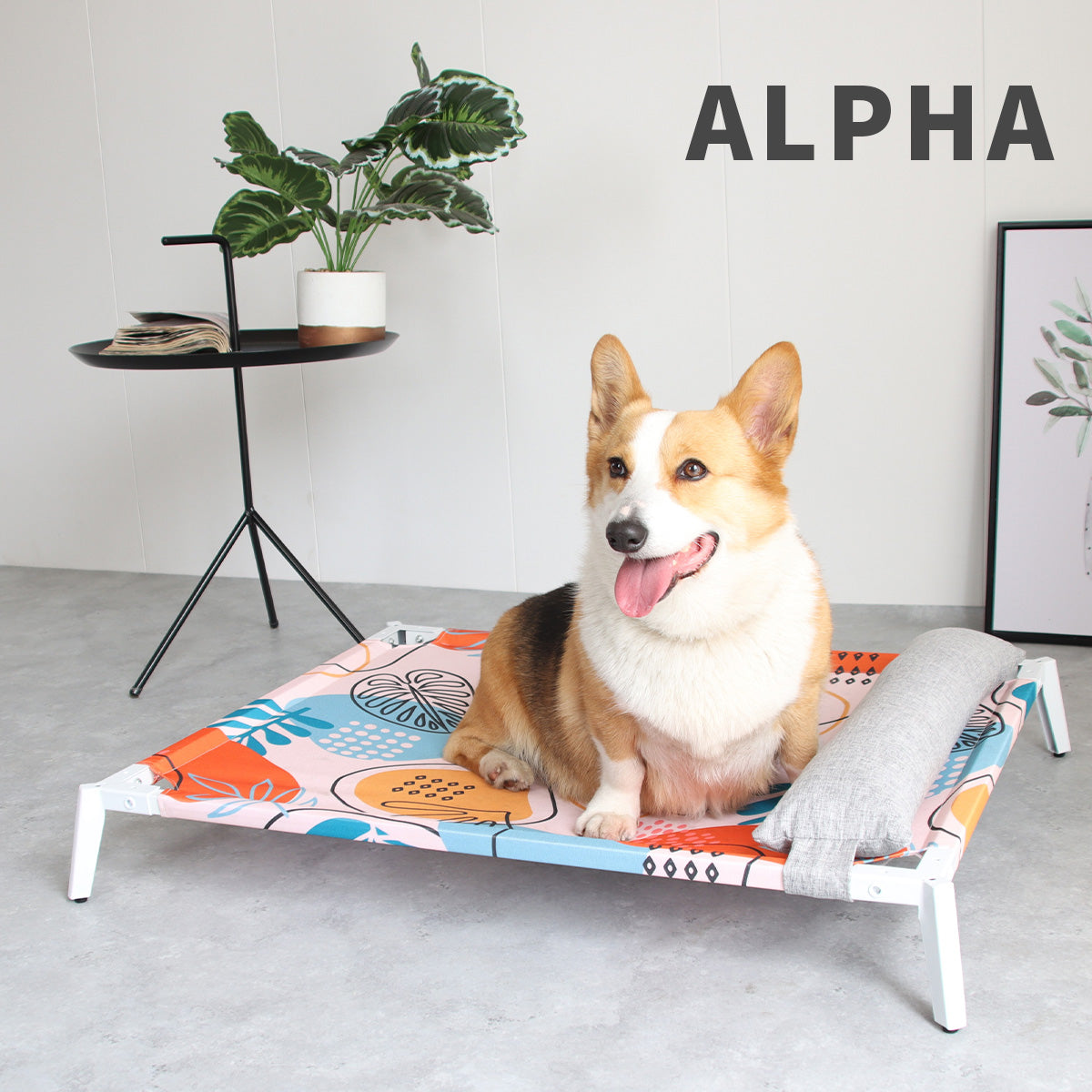 ALPHA 阿波羅寵物行軍床 寵物睡床