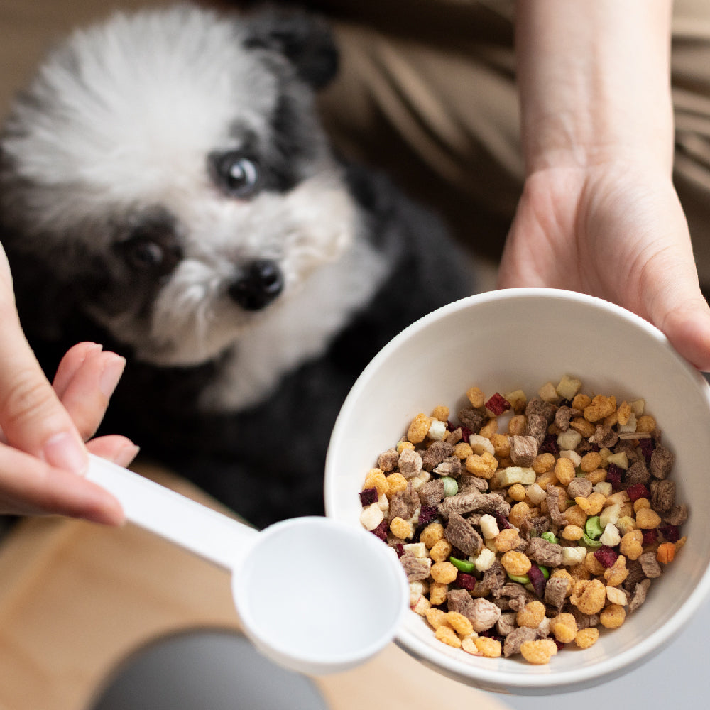 DoggyWillie小犬威利 凍乾熟食餐 MEAL 無麩高纖主食 15 / 200g
