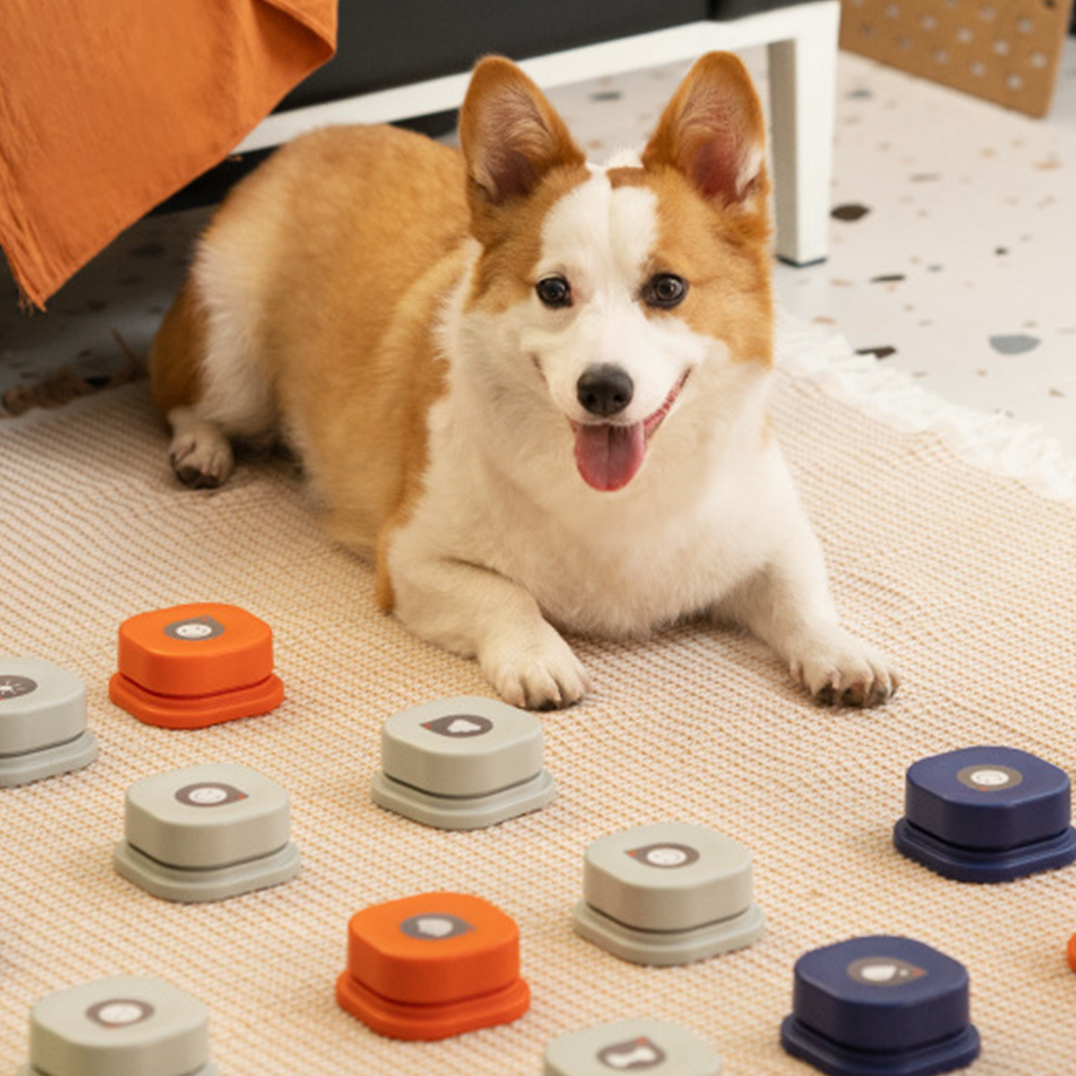 MewooFun喵乎汪也 寵物交流按鈕 益智玩具