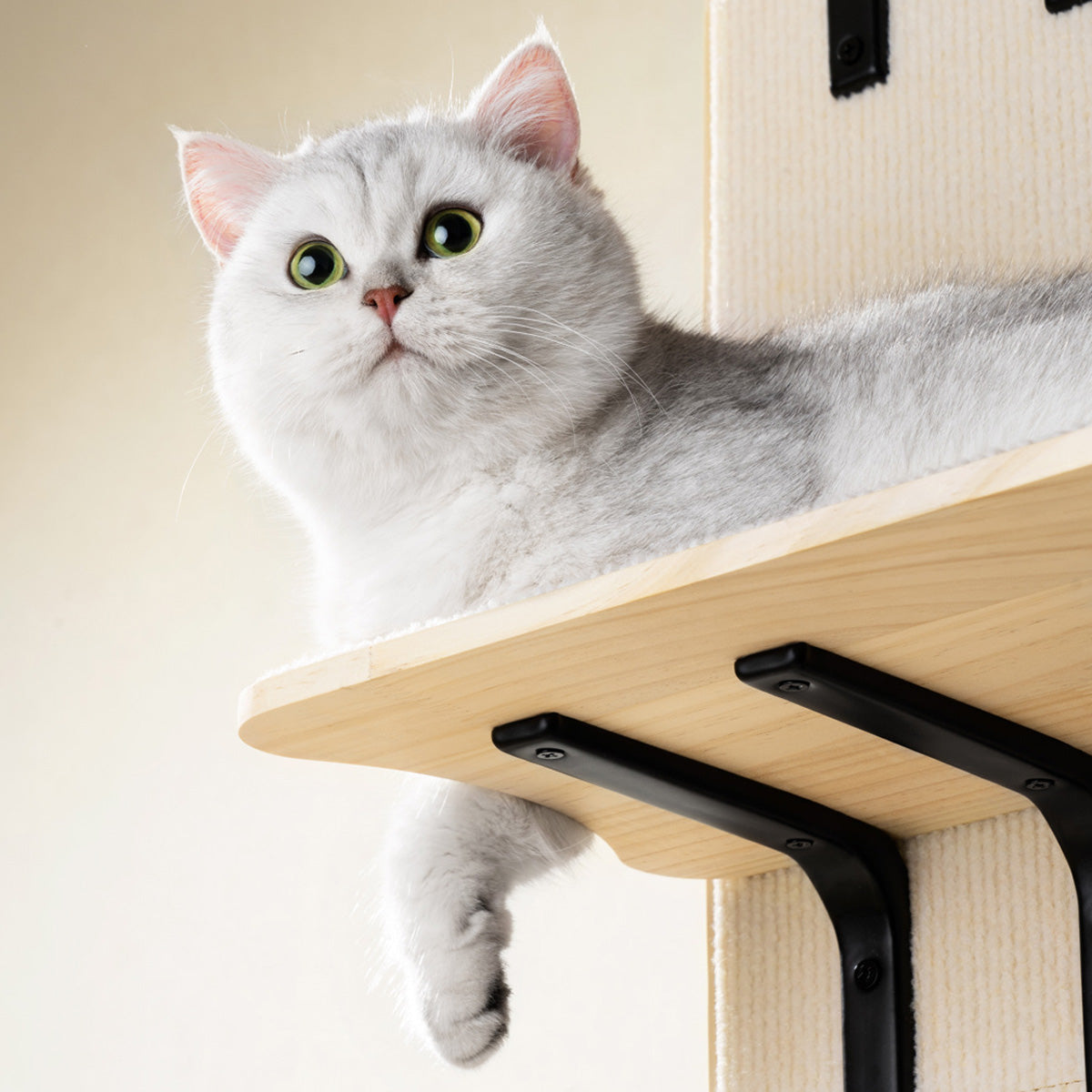 MewooFun喵乎汪也 門掛式貓跳台 貓抓板