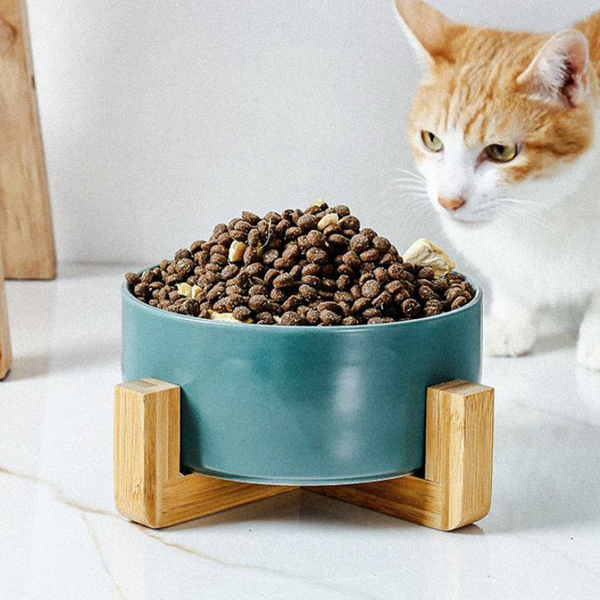 CARNO卡諾 北歐風格 寵物陶瓷碗架組