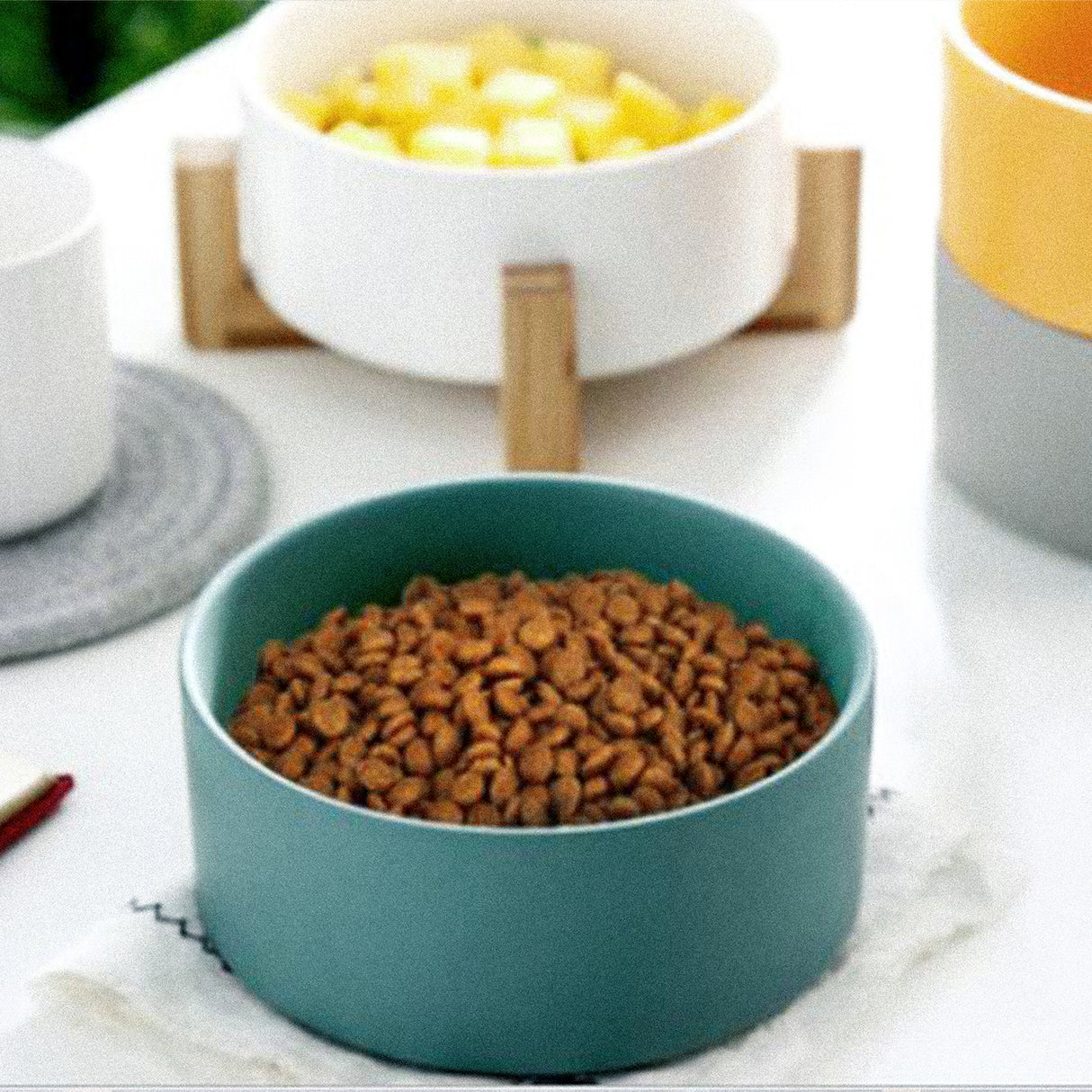 CARNO卡諾 北歐風格 寵物陶瓷碗架組