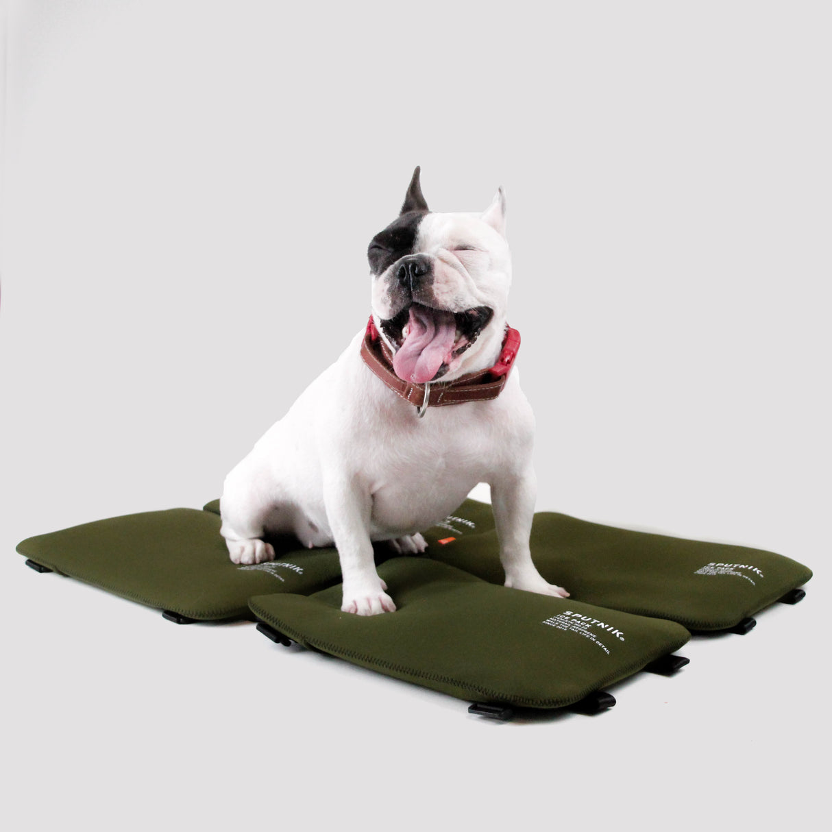 SPUTNIK 斯普尼克 EXPLORE 寵物機能拼接涼墊 2入