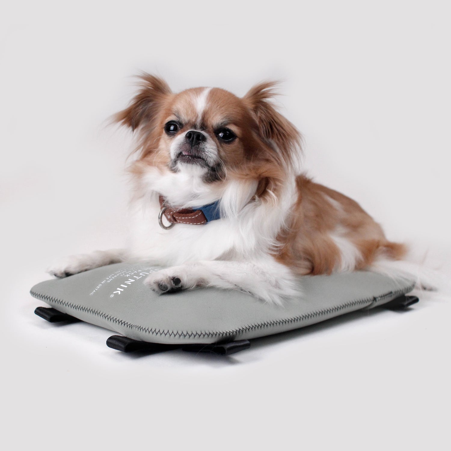 SPUTNIK 斯普尼克 EXPLORE 寵物機能拼接涼墊