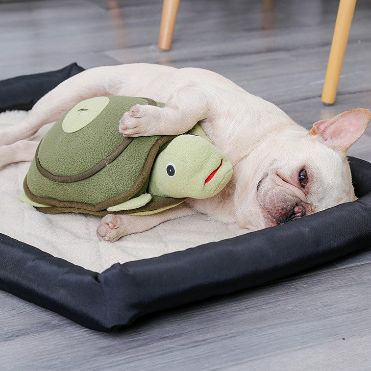 DogLemi多樂米 嗅聞益智訓練藏食玩具 縮頭烏龜