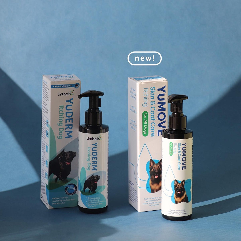 YuMOVE優骼服 藍油搔癢犬配方 250ml