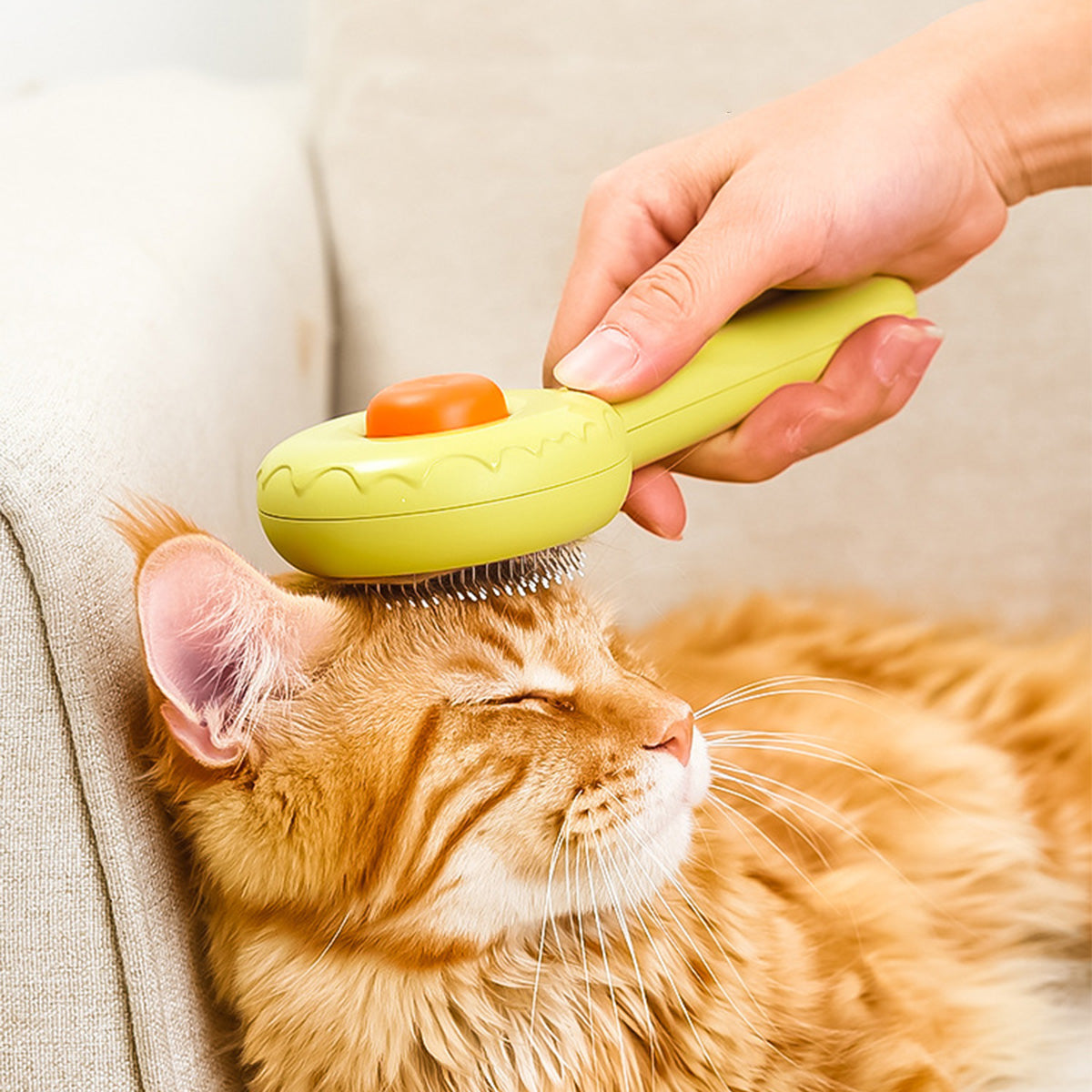 AIWO艾窩 甜甜圈寵物針梳 一鍵除毛 寵物梳