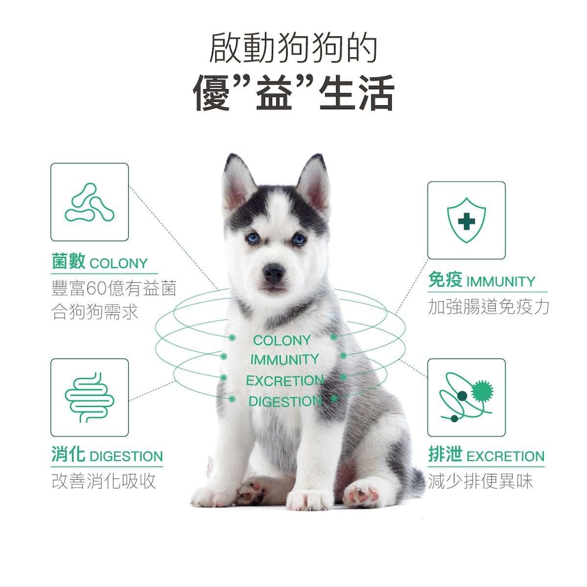 Moreson木入森 犬寶變不臭 狗狗益生菌 2g