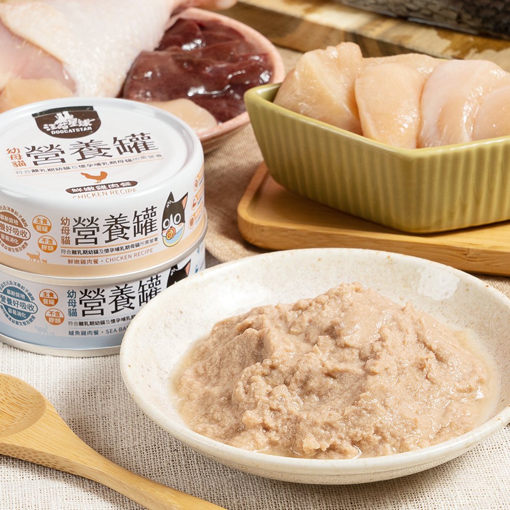 DogCatStar汪喵星球 幼母貓98%營養無膠主食罐 80g