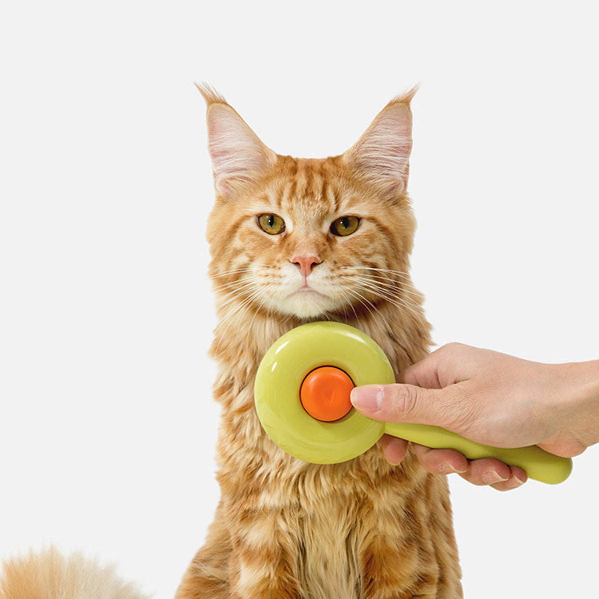 AIWO艾窩 甜甜圈寵物針梳 一鍵除毛 寵物梳