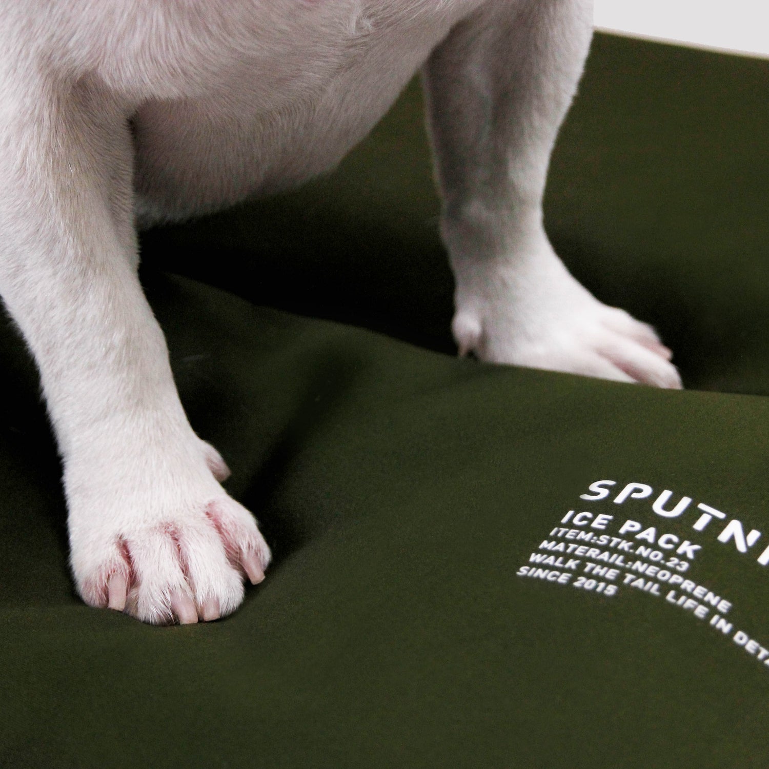 SPUTNIK 斯普尼克 EXPLORE 寵物機能拼接涼墊 2入