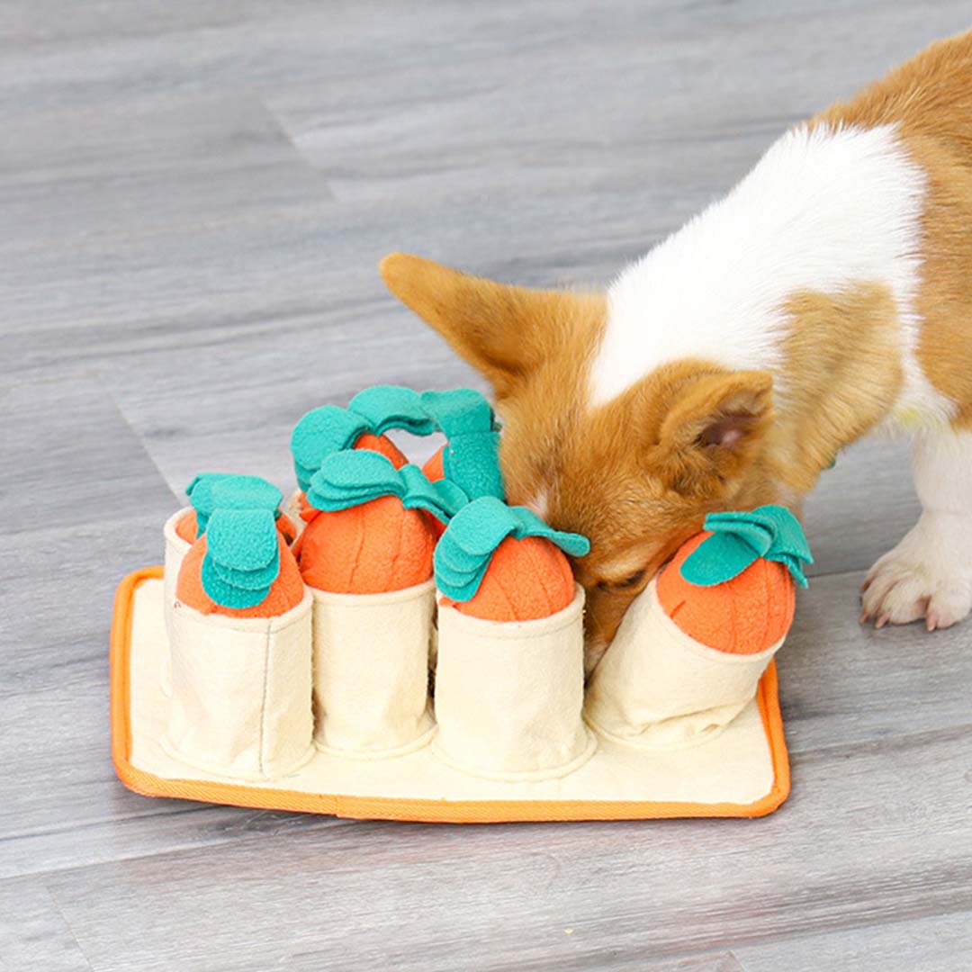 DogLemi多樂米 嗅聞益智訓練藏食玩具 拔蘿蔔