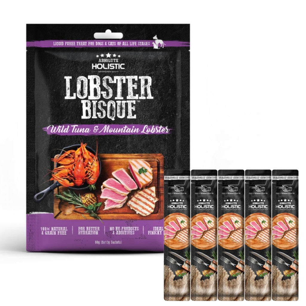 Absolute Holistic超越巔峰 肉泥 寵物零食 12g x 5包