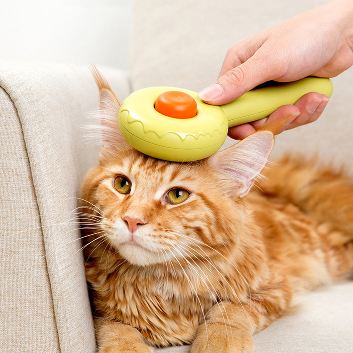 AIWO艾窩 甜甜圈寵物針梳 一鍵除毛 寵物梳