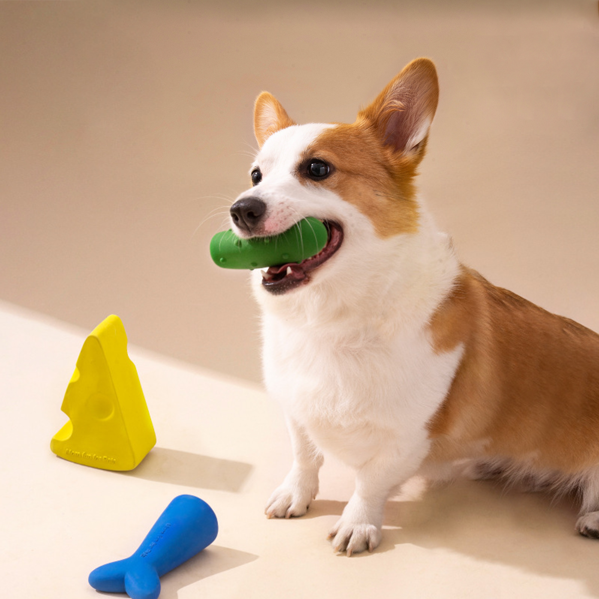 MewooFun喵乎汪也 耐咬玩具三件組 起司 / 黃瓜 / 魚尾