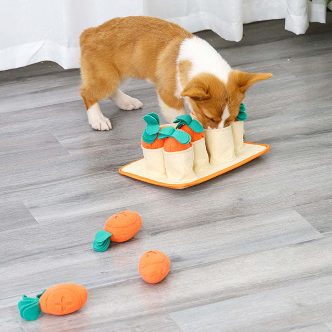 DogLemi多樂米 嗅聞益智訓練藏食玩具 拔蘿蔔