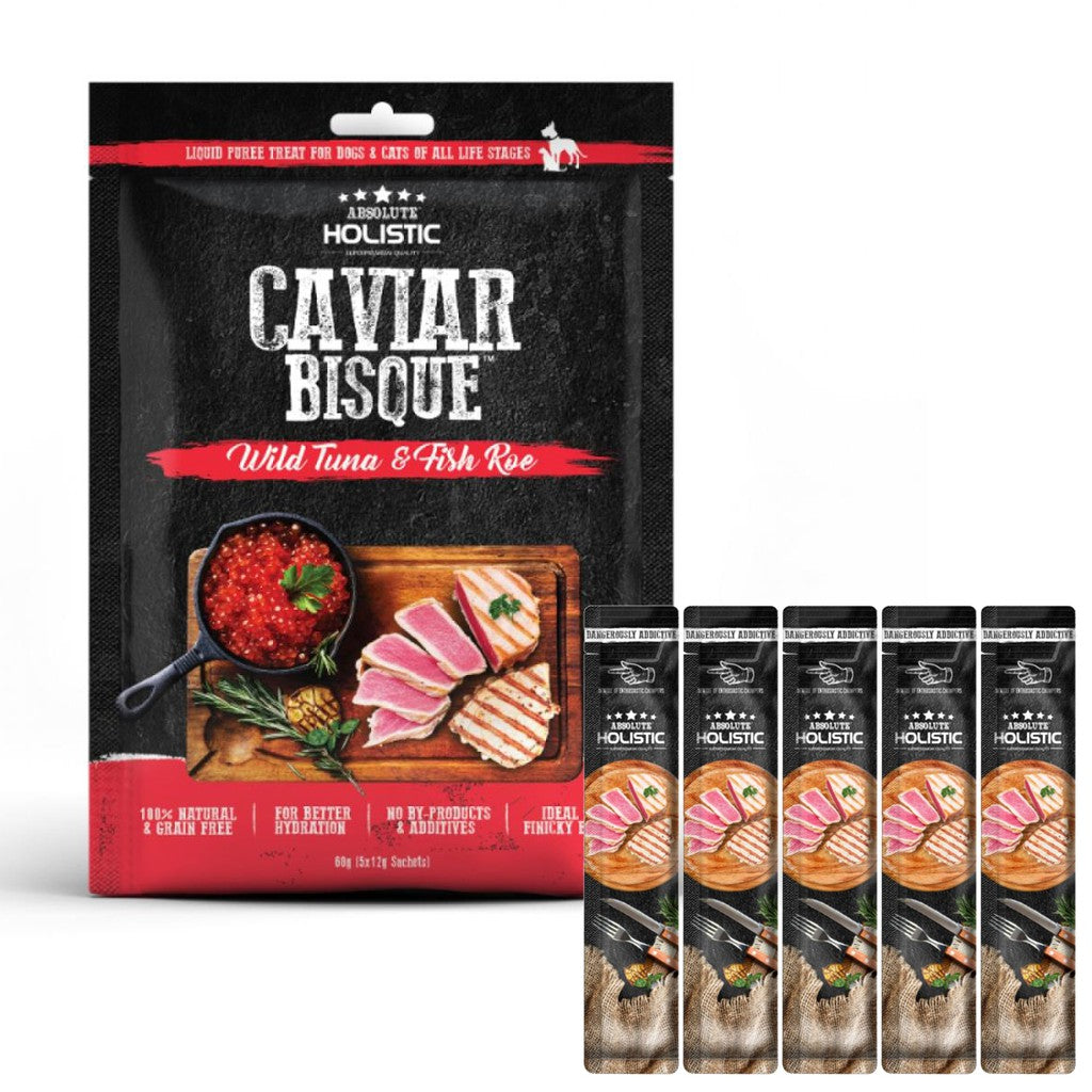 Absolute Holistic超越巔峰 肉泥 寵物零食 12g x 5包