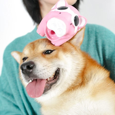 Q-MONSTER 2隻豬 乳膠玩具 狗玩具 寵物發聲玩具