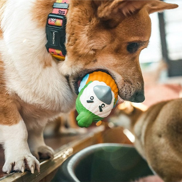 Q-MONSTER 阿噠鸚鵡家族 狗玩具