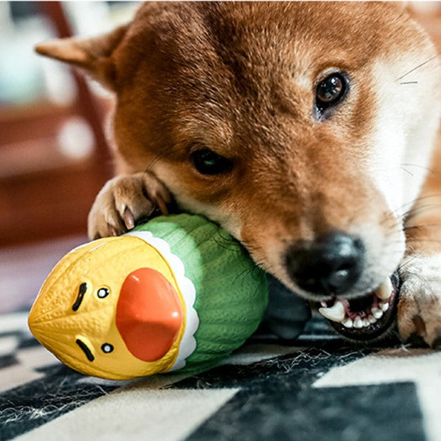 Q-MONSTER 阿噠鸚鵡家族 狗玩具