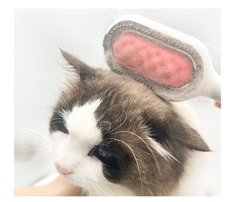 引力清潔除毛梳 寵物清潔 免洗濕巾粘毛器 薄荷綠