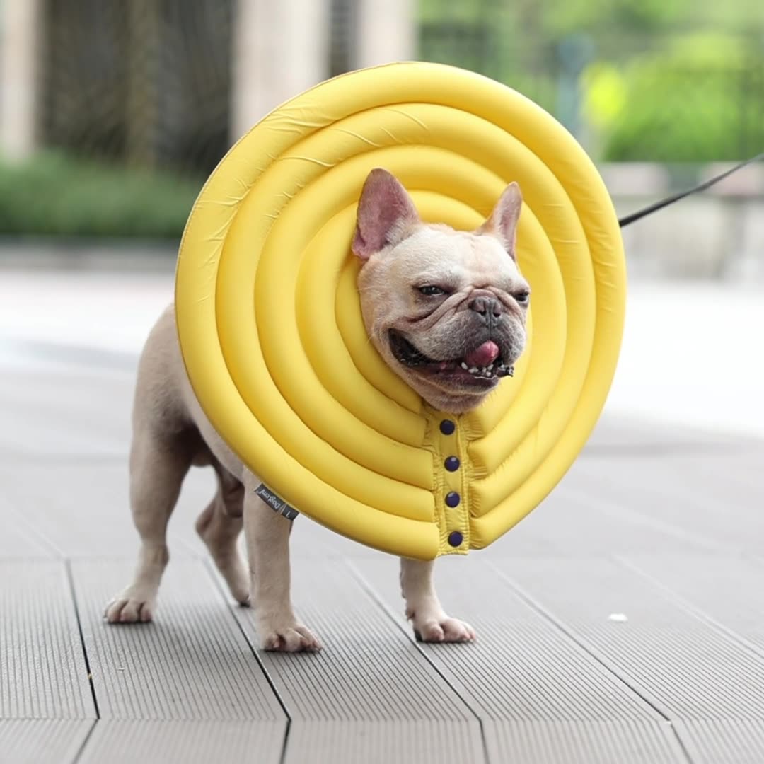 DogLemi多樂米 寵物防舔圈 寵物伊麗莎白圈 防舔頭套