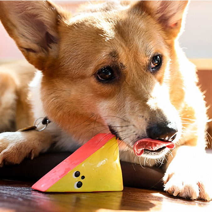 Q-MONSTER 字母家族 乳膠玩具 寵物發聲玩具