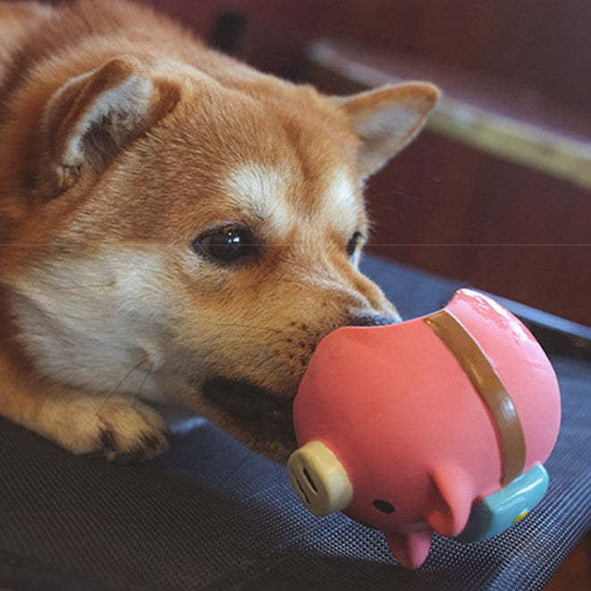 Q-MONSTER 背包動物家族 寵物乳膠玩具