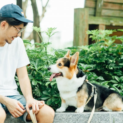 tails&me 尾巴與我 經典尼龍帶胸背帶 Two-Tone雙色系列 寵物胸背帶