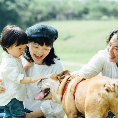 tails&me 尾巴與我 經典尼龍帶牽繩 Nomo單色系列 寵物牽繩