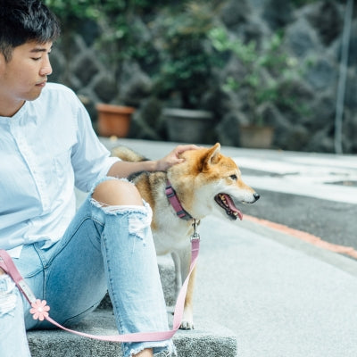 tails&me 尾巴與我 經典尼龍帶牽繩 Two-Tone 雙色系列 寵物牽繩