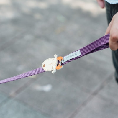 tails&me 尾巴與我 經典尼龍帶牽繩 Two-Tone 雙色系列 寵物牽繩