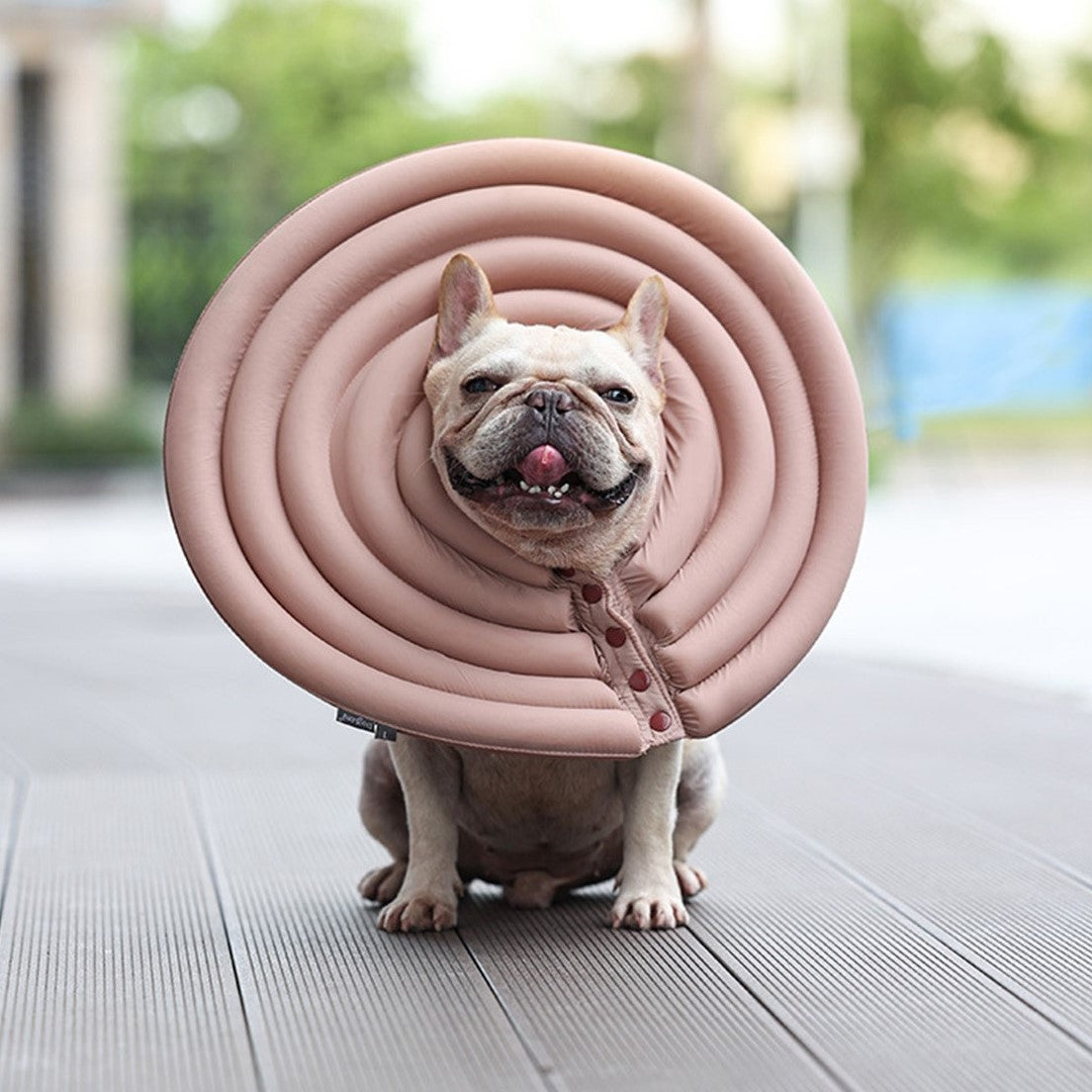 DogLemi多樂米 寵物防舔圈 寵物伊麗莎白圈 防舔頭套