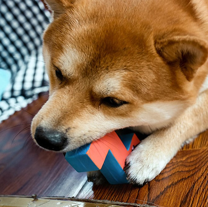 Q-MONSTER 字母家族 乳膠玩具 寵物發聲玩具