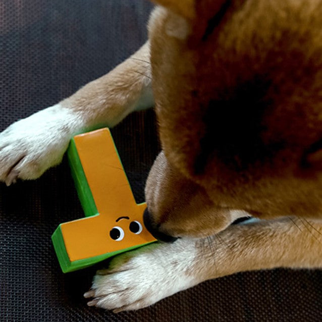 Q-MONSTER 字母家族 乳膠玩具 寵物發聲玩具