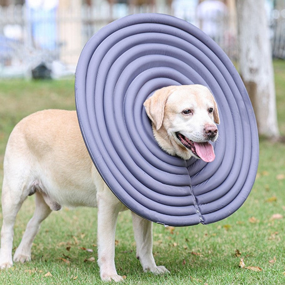 DogLemi多樂米 寵物防舔圈 寵物伊麗莎白圈 防舔頭套