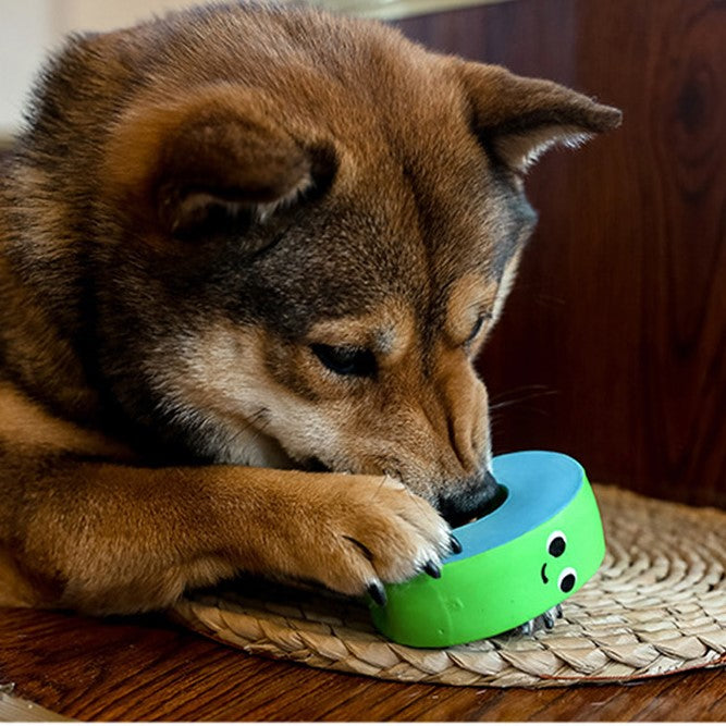 Q-MONSTER 字母家族 乳膠玩具 寵物發聲玩具