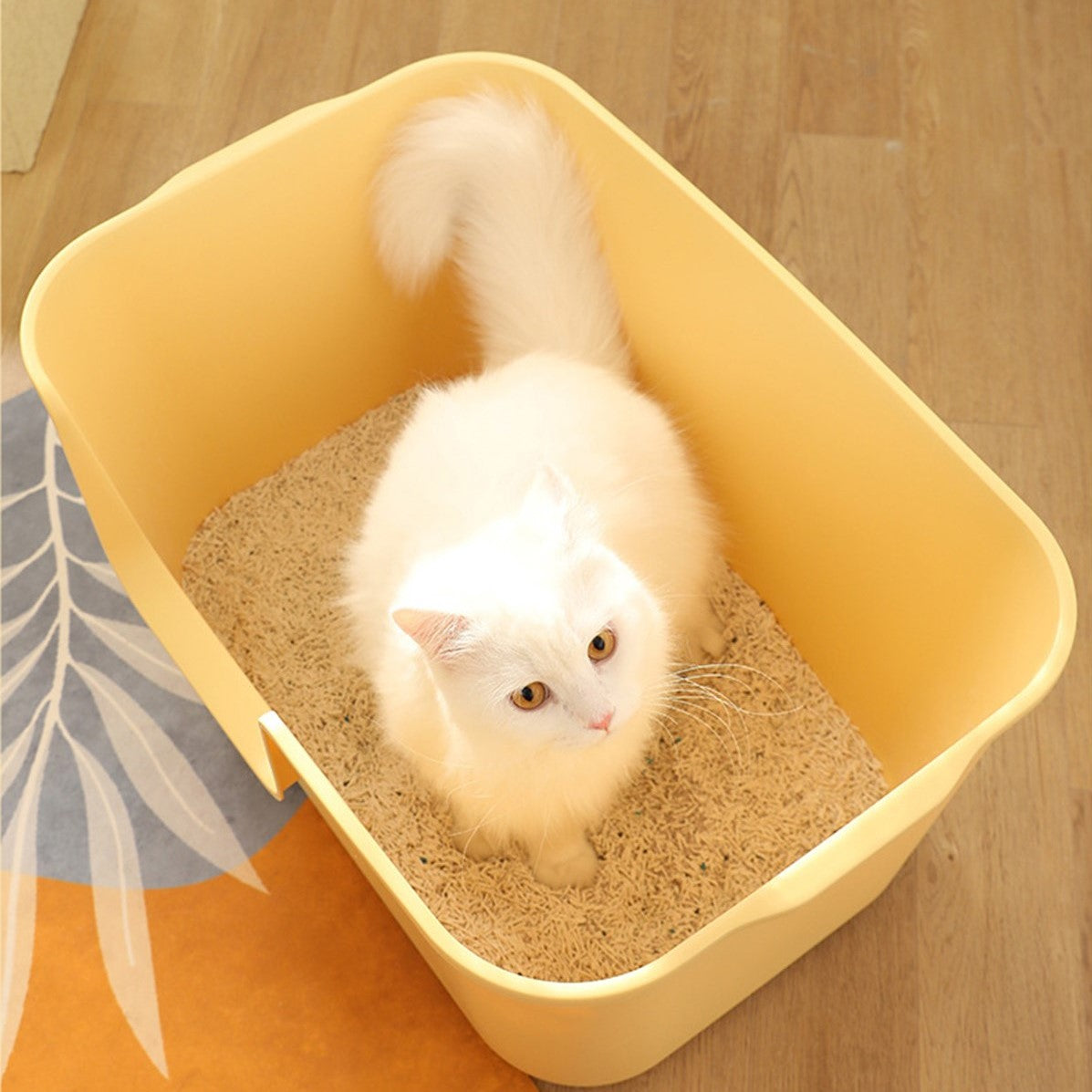 超大號防潑貓砂盆 開放式貓砂盆 黃色