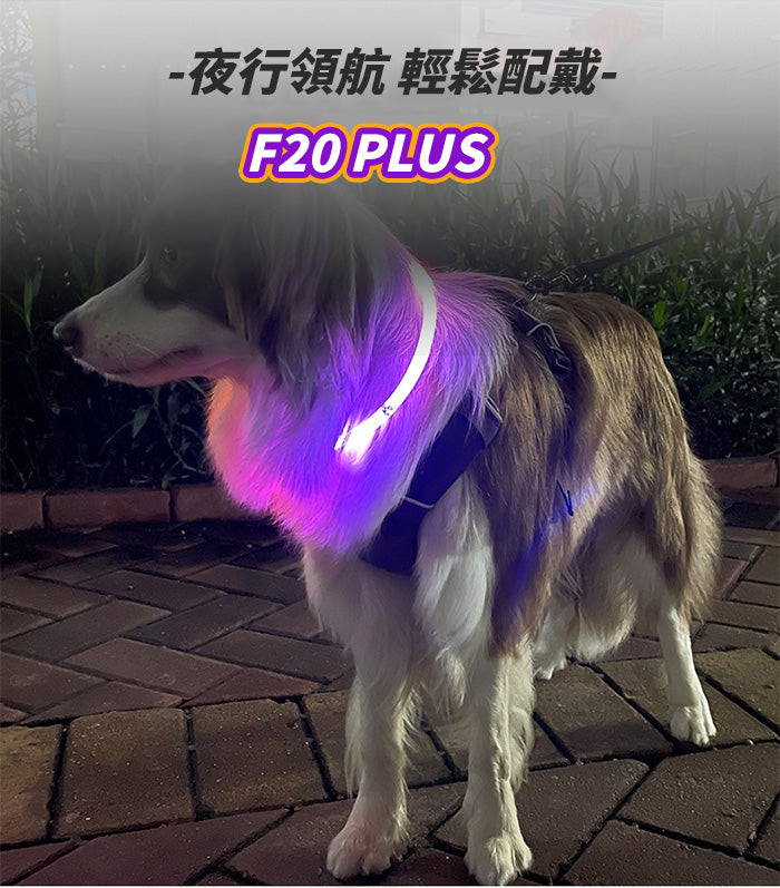 LaRoo萊諾 F31 發光LED項圈 45cm 發光項圈 貓項圈 USB充電
