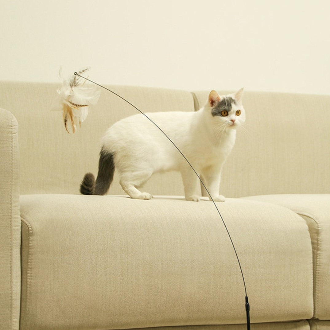 寵物自嗨長桿逗貓棒 吸盤逗貓棒貓