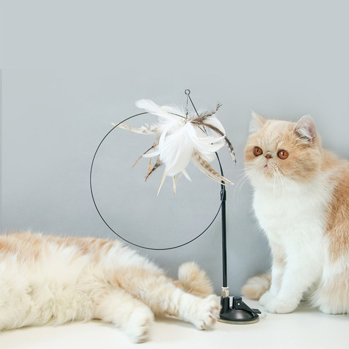 寵物自嗨長桿逗貓棒 吸盤逗貓棒貓